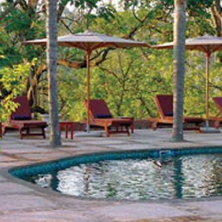 Jatinga Country Lodge White River Dış mekan fotoğraf